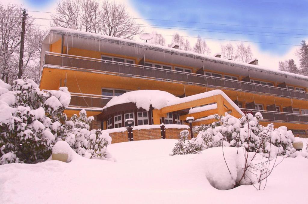Hotel Wiktoria 스클라르스카포렘바 외부 사진